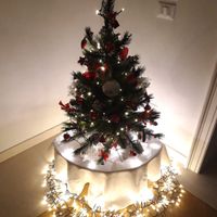 Avete mai fatto l'albero insieme? - 1