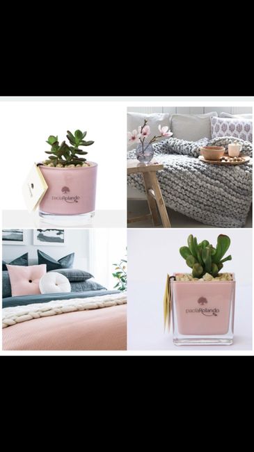  Aiuto scelta bomboniere - 3