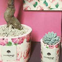  Aiuto scelta bomboniere - 1