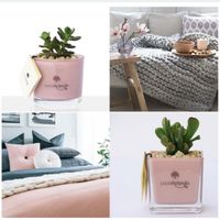  Aiuto scelta bomboniere - 3