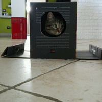 Ecco a voi i miei amori.. - 1