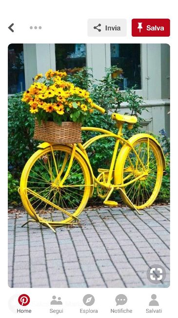 Nozze color giallo - 1