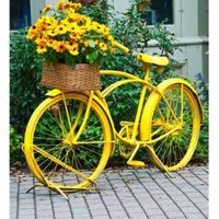 Nozze color giallo - 1