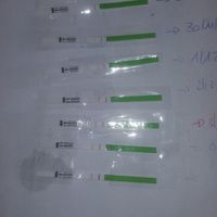 Test di ovulazione - 2