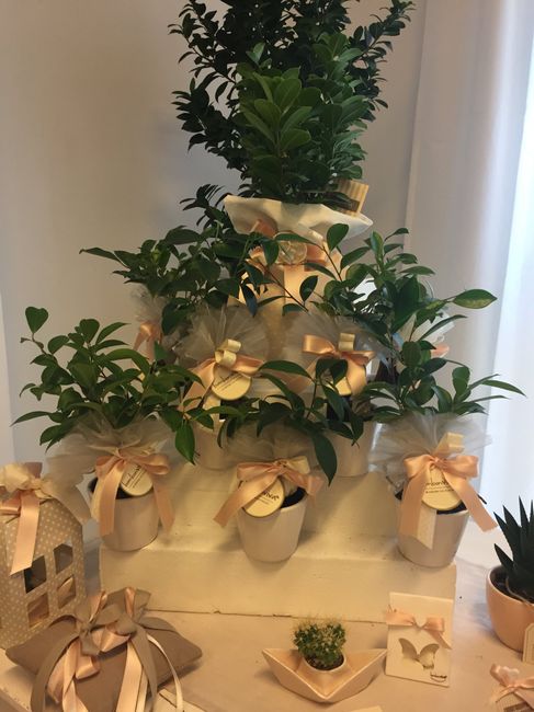  Regalo testimoni - 2