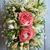 Cuscino o cosa volete voi portafedi! - 1