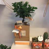  Regalo testimoni - 1