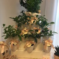  Regalo testimoni - 2