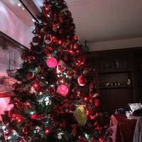 L'albero fatto dai nostri bimbi - 1