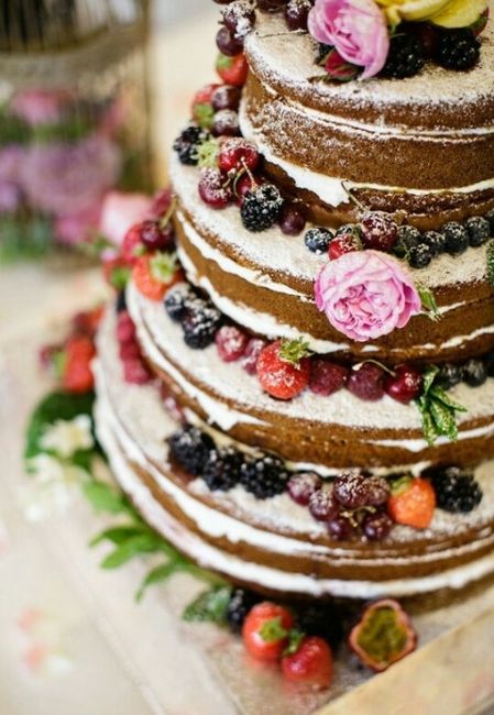 A.a.a. torta senza pan di spagna cercasi - 2