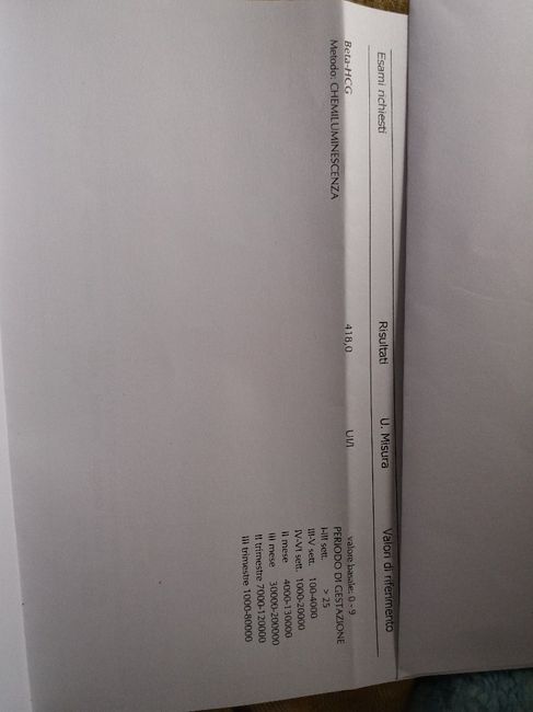 Qualcuno mi sa leggere la beta? 1