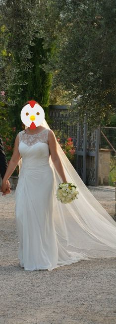 Curiosità sul vestito - 1