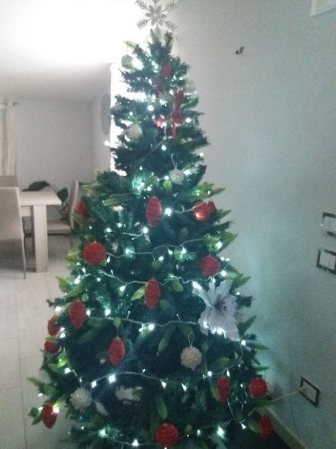 Vi piace il nostro albero di Natale? - 1
