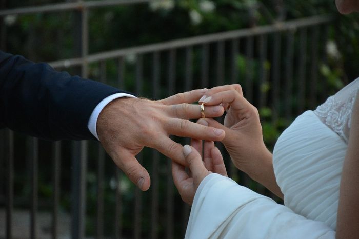 Scelta fedi e costi - 1