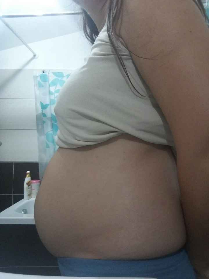 Che dite cresce? - 1