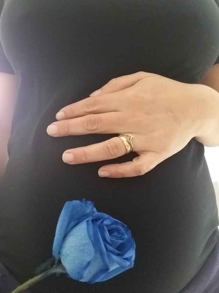 Foto delle nostre pancine ne abbiamo?! - 1