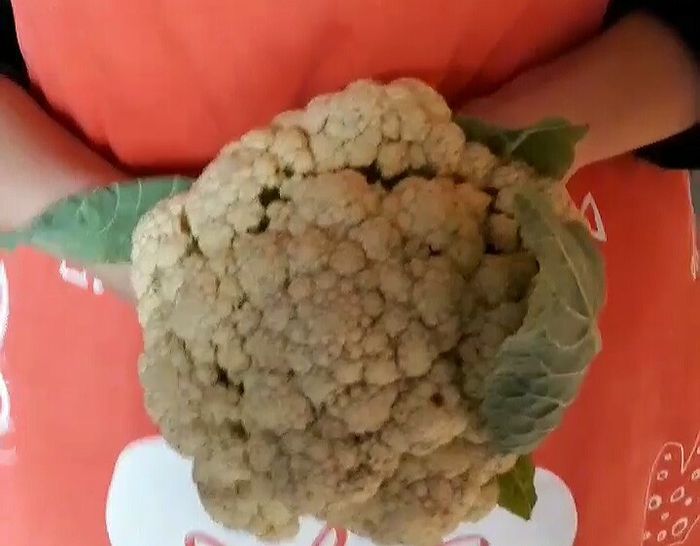  Bouquet di cavolfiore - 2