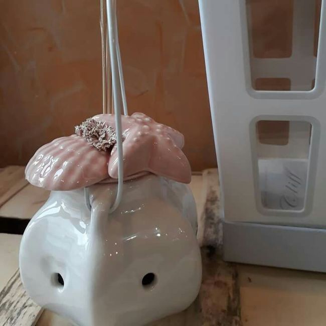  Odissea bomboniera! - 1