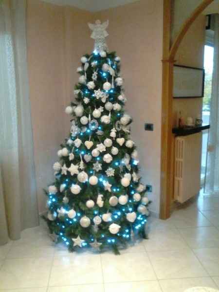 albero