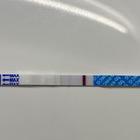 Chi non le aspetta per giugno 2020🥰🤞🏻 - 1