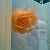 Particolare tira Tenda bagno piccolo