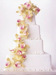 la mia torta