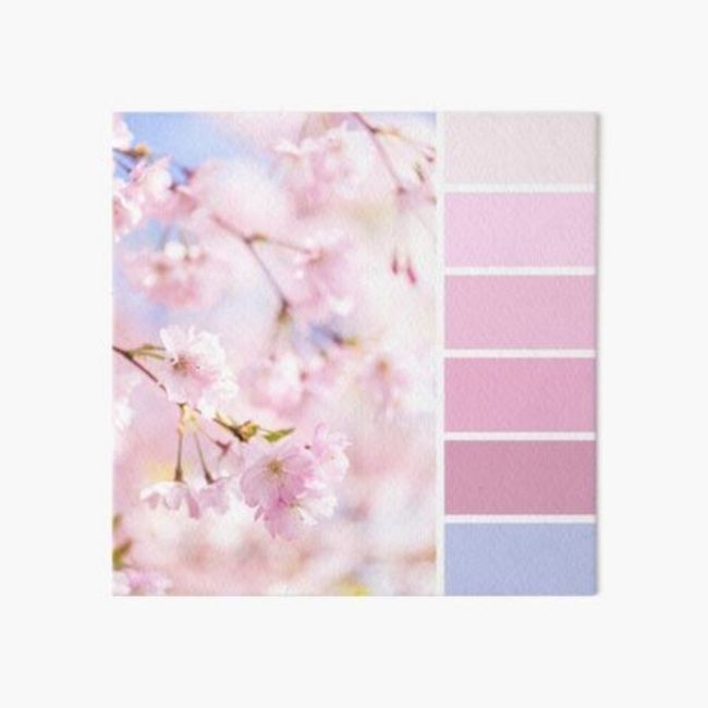 Tonalità decorazioni! - 1