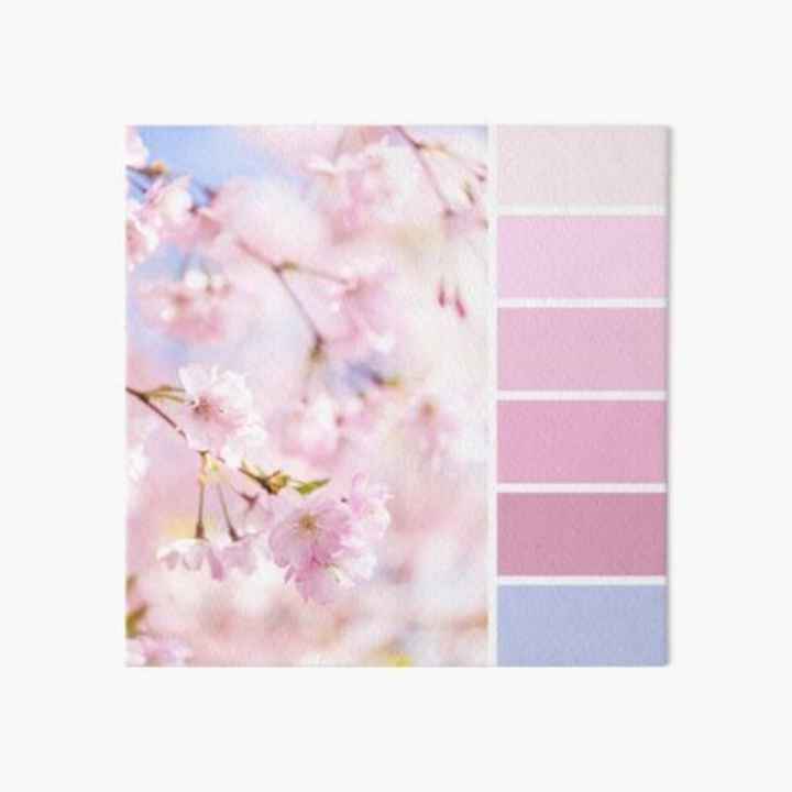 Tonalità decorazioni! - 1