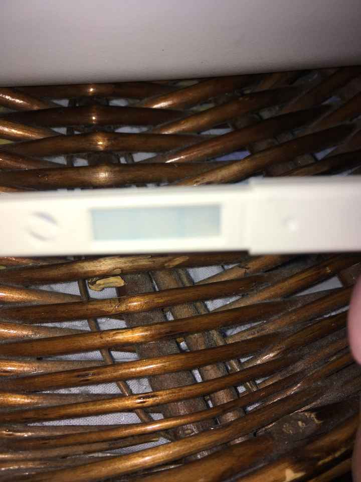 Stick persona come test gravidanza - 1