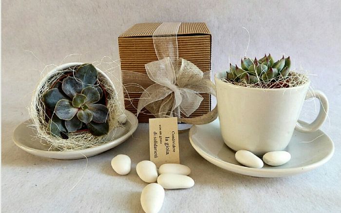 Tema natura?? aiuto - 1