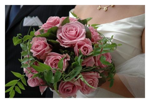 bellissimo anche questo