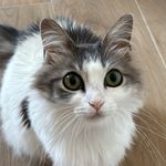 Eleonora