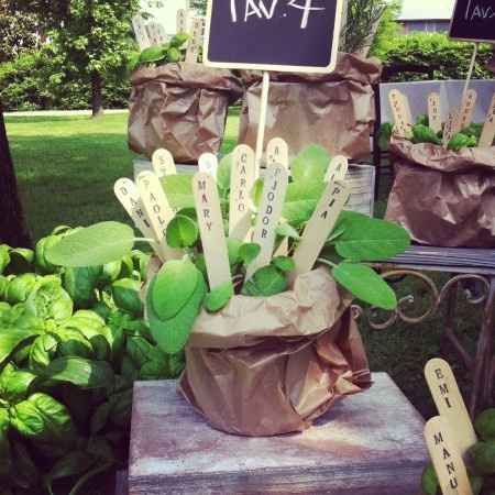 Tableau erbe aromatiche