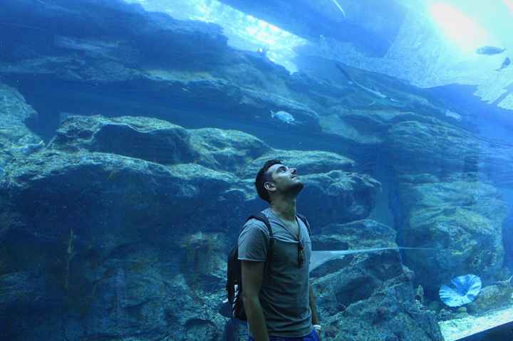 Il nostro viaggio di nozze! - 14