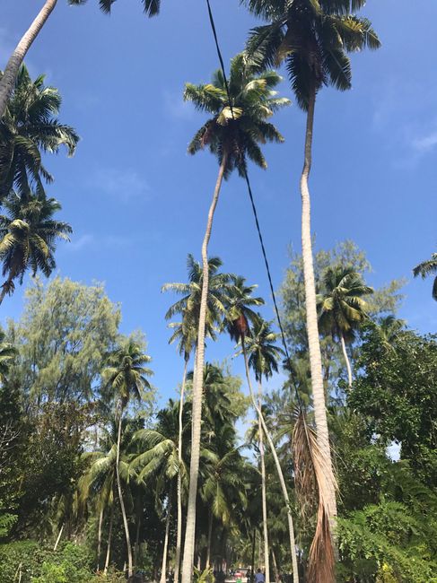 Il nostro viaggio di nozze! - 2