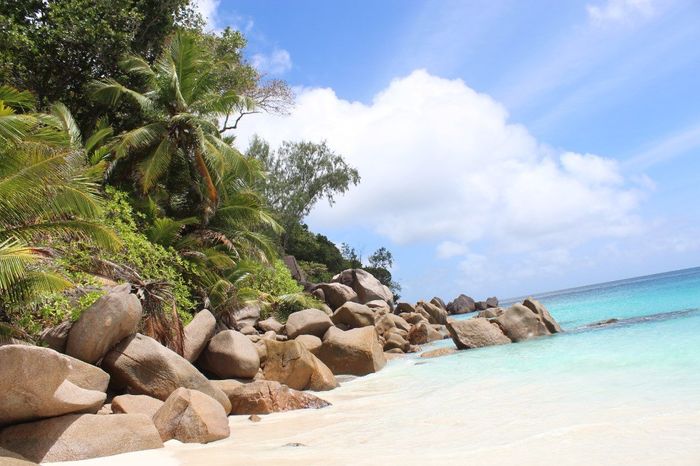 Seychelles, Isola di Praslin - Spaggia di Anse Georgette (anche questa considerata una delle spiaggi