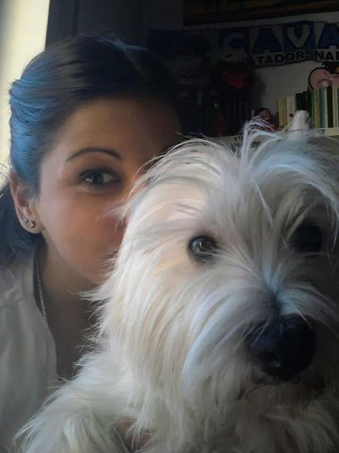 Too cute: i vostri amici animali - 4