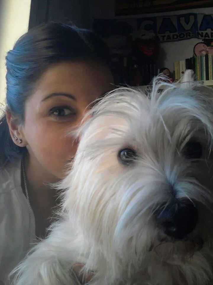 Too cute: i vostri amici animali - 4