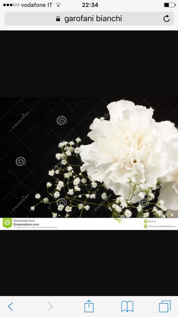 Amo la nebbiolina - 1