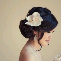 Cerco foto semiraccolto laterale - 1