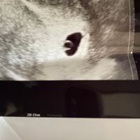 Future mamme Dicembre 2023 - 1