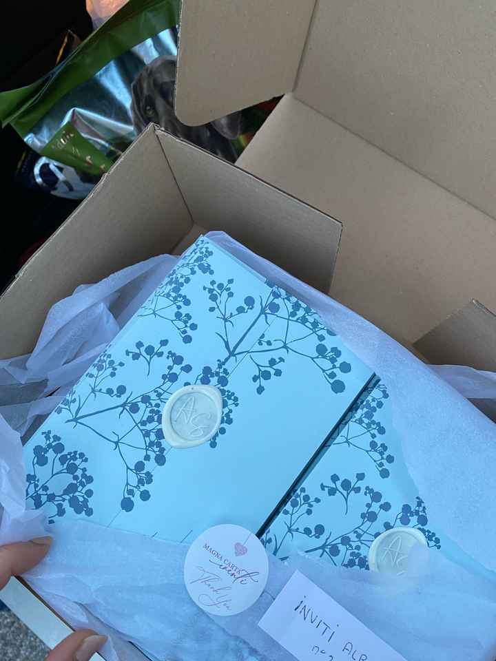 Partecipazioni ❤️ - 1