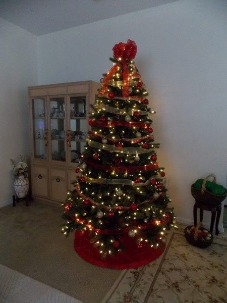 il mio albero di natale