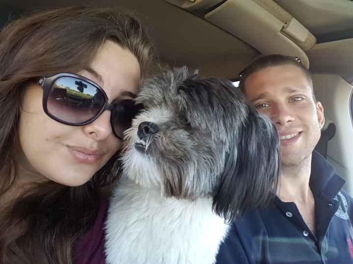 Piccolo giochino: postiamo i nostri baci con i nostri amici a 4 zampe - 1