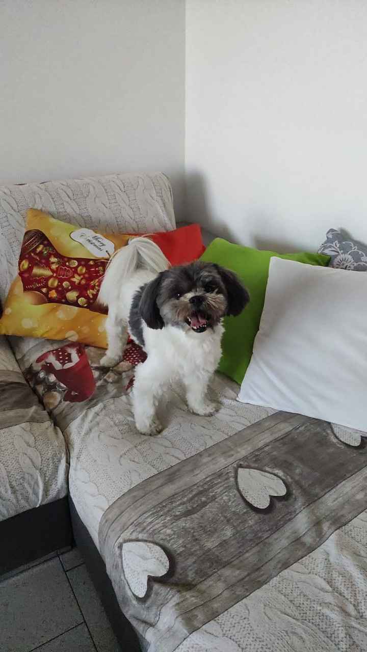 L'amore mio più grande - 1