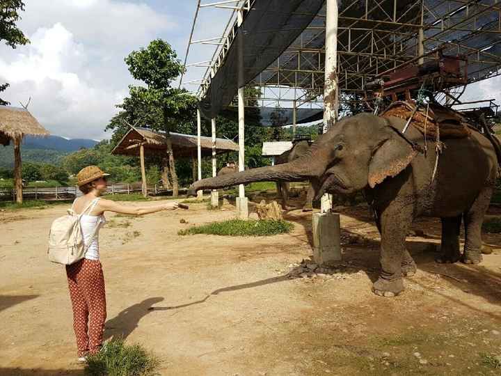 Thailandia nel cuore - 11