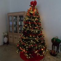 il mio albero di natale