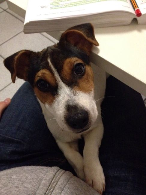 Eccomi cresciuta  - 1