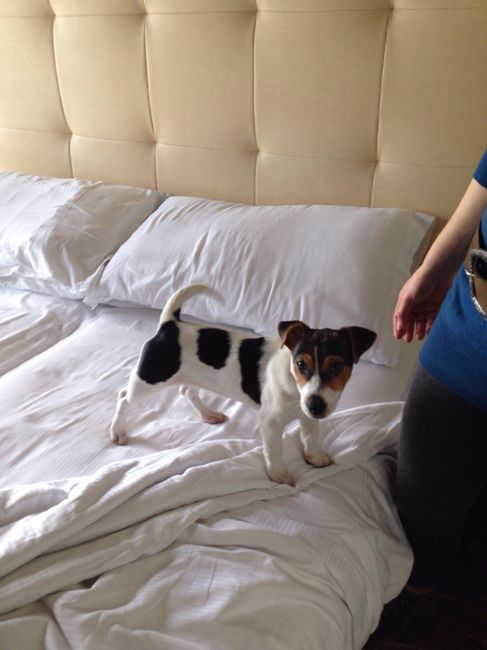 Too cute: i vostri amici animali - 2