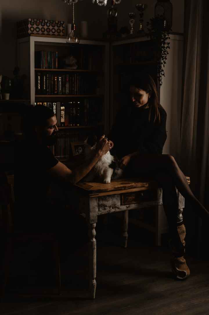 L'anteprima si o no ? - 1